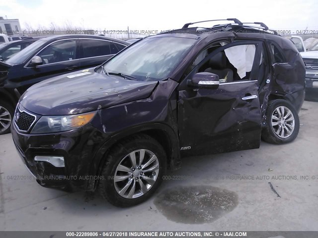 5XYKWDA20CG207582 - 2012 KIA SORENTO SX MAROON photo 2