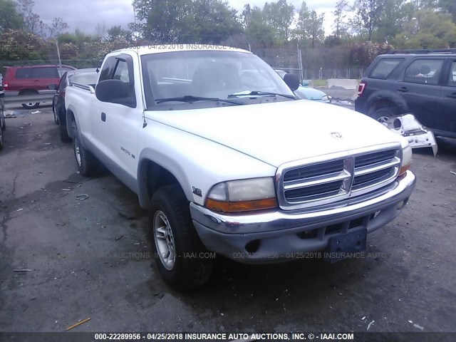 1B7GG22N4YS631333 - 2000 DODGE DAKOTA WHITE photo 1