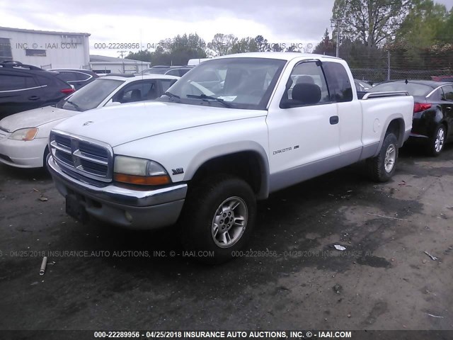 1B7GG22N4YS631333 - 2000 DODGE DAKOTA WHITE photo 2