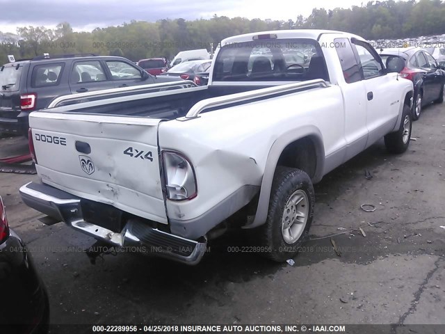 1B7GG22N4YS631333 - 2000 DODGE DAKOTA WHITE photo 4