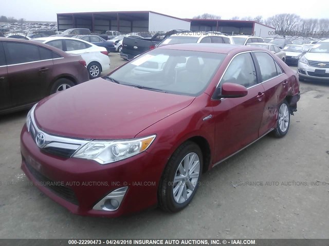 4T1BD1FK1CU035912 - 2012 TOYOTA CAMRY HYBRID/LE/XLE RED photo 2