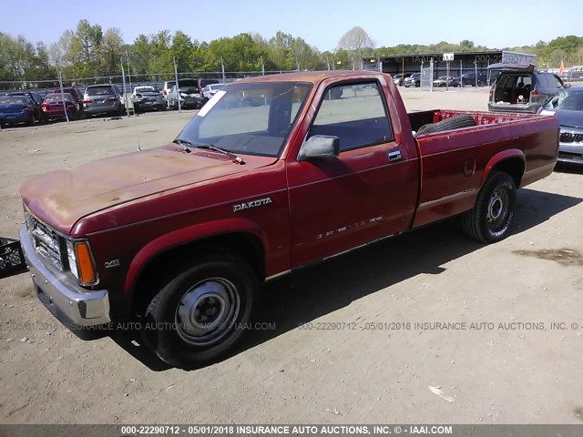 1B7GL26X2KS060262 - 1989 DODGE DAKOTA RED photo 2