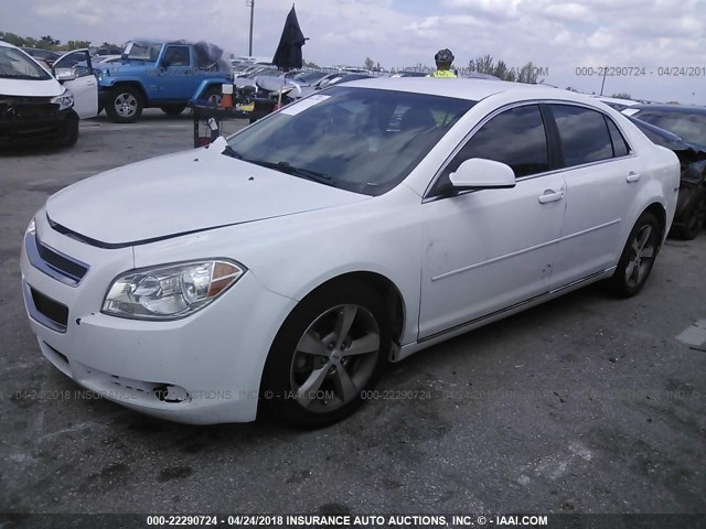 1G1ZC5EU0BF399900 - 2011 CHEVROLET MALIBU 1LT 白色 照片 2