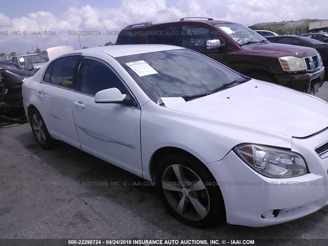 1G1ZC5EU0BF399900 - 2011 CHEVROLET MALIBU 1LT 白色 照片 6