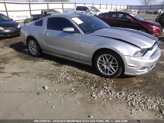 1ZVBP8CF5D5253954 - 2013 FORD MUSTANG GT SILVER photo 1