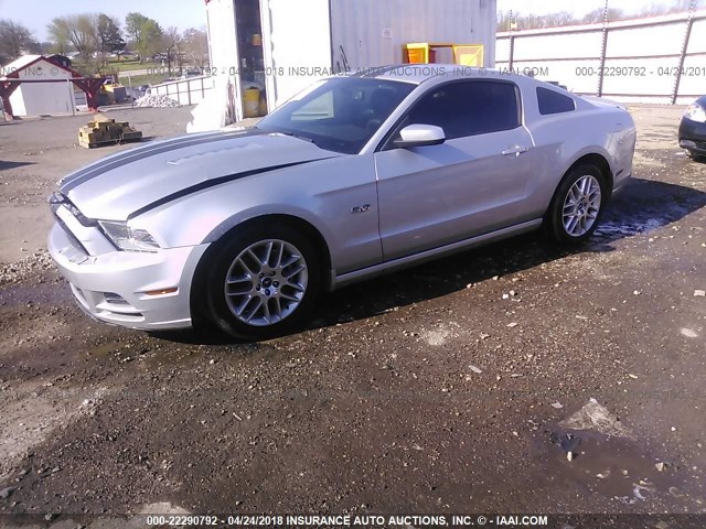 1ZVBP8CF5D5253954 - 2013 FORD MUSTANG GT SILVER photo 2