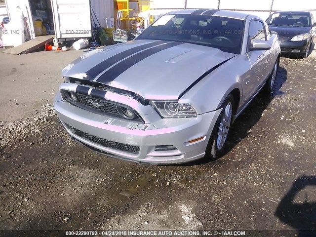1ZVBP8CF5D5253954 - 2013 FORD MUSTANG GT SILVER photo 6