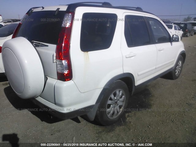 JHLRD78985C030492 - 2005 HONDA CR-V SE/EX WHITE photo 4