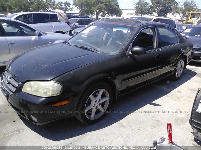 JN1DA31A93T410129 - 2003 NISSAN MAXIMA GLE/SE BLACK photo 2