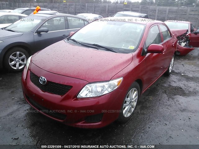 JTDBL40E99J007992 - 2009 TOYOTA COROLLA LE/XLE RED photo 2