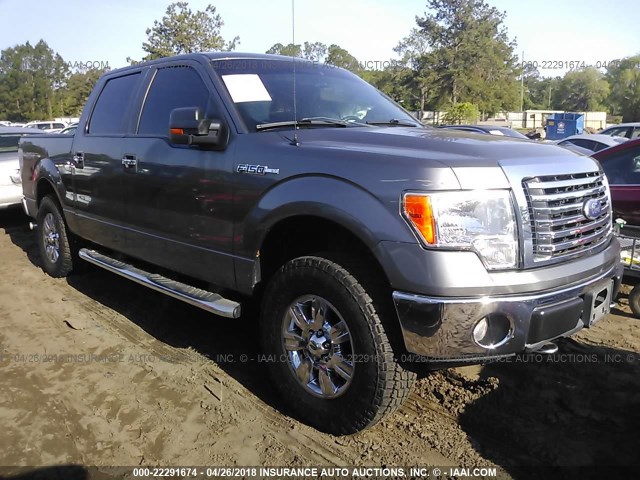 1FTEW1E86AFC28639 - 2010 FORD F150 SUPERCREW GRAY photo 1