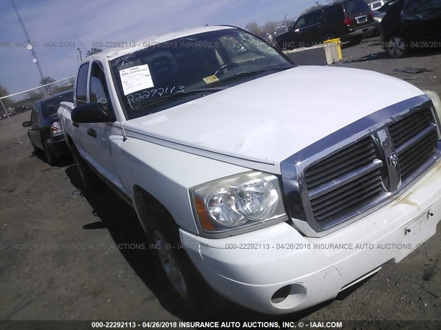 1D7HW48P47S151521 - 2007 DODGE DAKOTA QUAD SLT WHITE photo 1