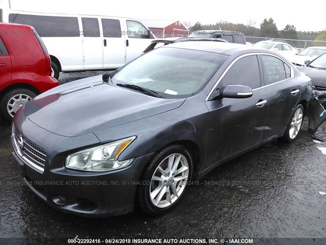 1N4AA5AP5AC830005 - 2010 NISSAN MAXIMA S/SV GRAY photo 2