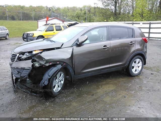 KNDPBCA22D7412590 - 2013 KIA SPORTAGE LX BROWN photo 2