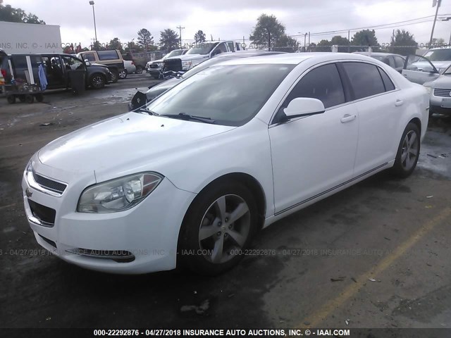 1G1ZC5EU3BF191316 - 2011 CHEVROLET MALIBU 1LT 白色 照片 2