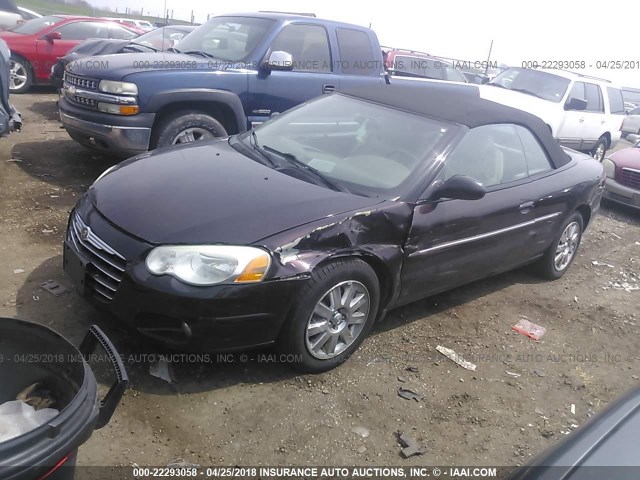 1C3EL65R84N198332 - 2004 CHRYSLER SEBRING LIMITED PURPLE photo 2