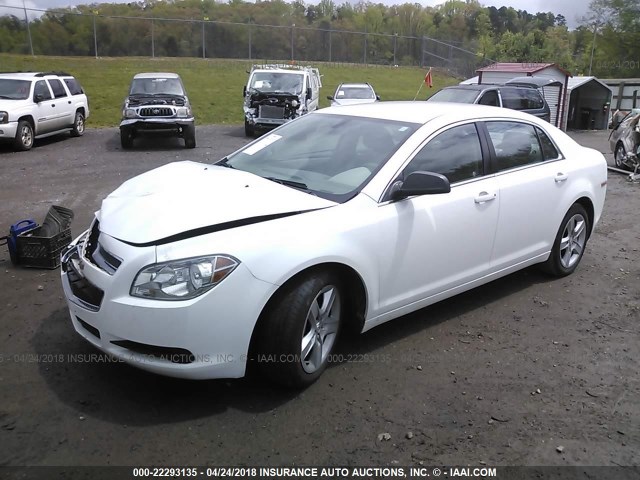 1G1ZA5EU6CF356198 - 2012 CHEVROLET MALIBU LS თეთრი ფოტო 2