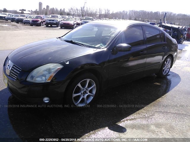 1N4BA41E75C861159 - 2005 NISSAN MAXIMA SE/SL BLACK photo 2