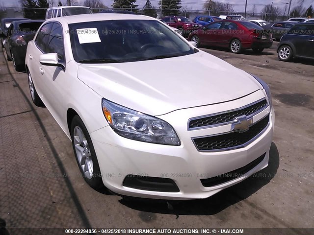1G11D5RR4DF116501 - 2013 CHEVROLET MALIBU 1LT 白色 照片 1
