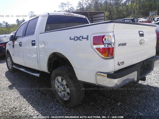 1FTFW1ET1BKD81172 - 2011 FORD F150 SUPERCREW WHITE photo 3