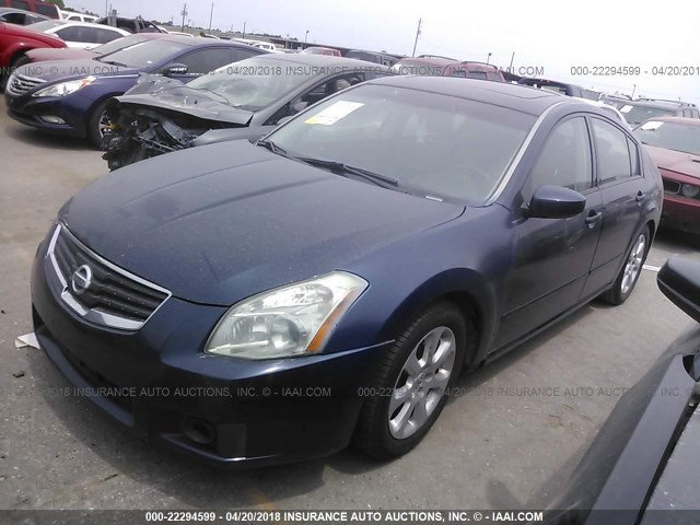 1N4BA41E48C831573 - 2008 NISSAN MAXIMA SE/SL BLUE photo 2