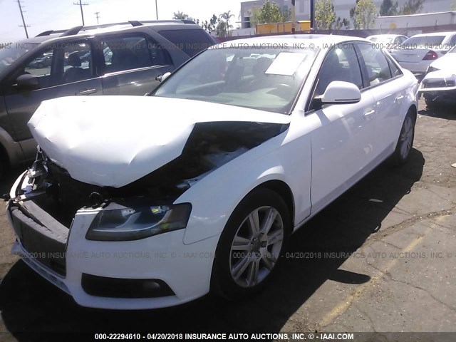 WAUJF78K29N073966 - 2009 AUDI A4 PREMIUM PLUS WHITE photo 2