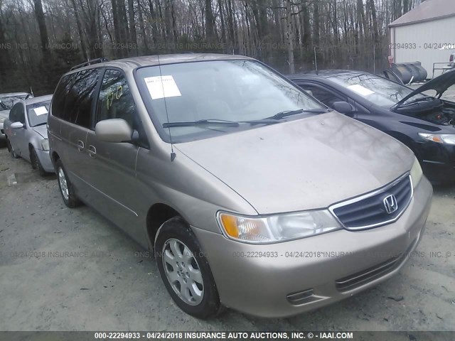 5FNRL18903B126100 - 2003 HONDA ODYSSEY EXL TAN photo 1