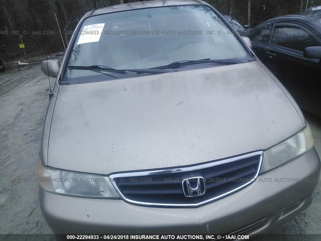 5FNRL18903B126100 - 2003 HONDA ODYSSEY EXL TAN photo 6