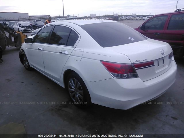 1HGCP3F88BA030398 - 2011 HONDA ACCORD EXL WHITE photo 3