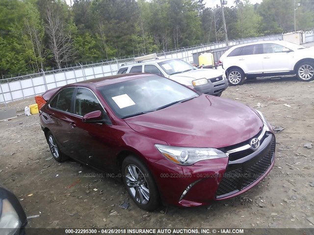 4T1BF1FK8FU916024 - 2015 TOYOTA CAMRY LE/XLE/SE/XSE RED photo 1