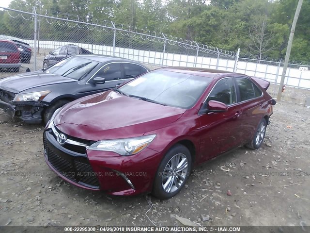 4T1BF1FK8FU916024 - 2015 TOYOTA CAMRY LE/XLE/SE/XSE RED photo 2