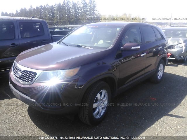 5XYKT3A16BG095329 - 2011 KIA SORENTO LX PURPLE photo 2