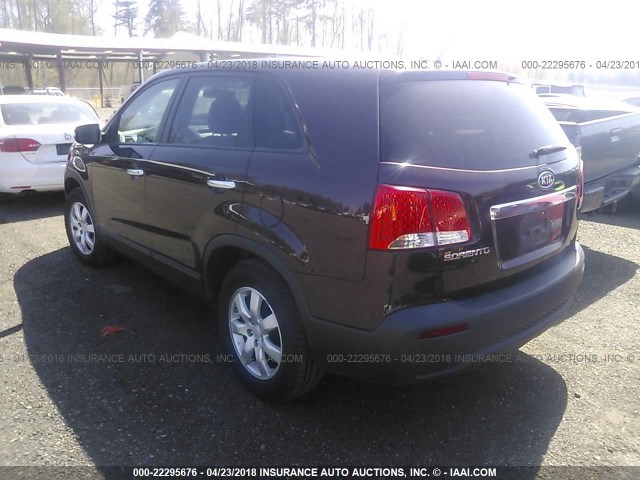 5XYKT3A16BG095329 - 2011 KIA SORENTO LX PURPLE photo 3