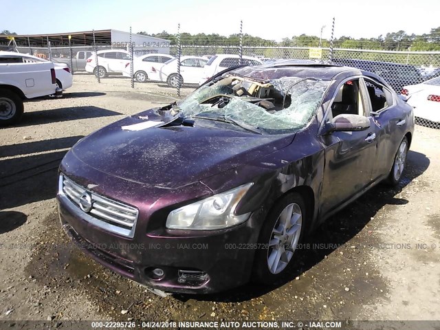 1N4AA5AP1EC479339 - 2014 NISSAN MAXIMA S/SV PURPLE photo 2