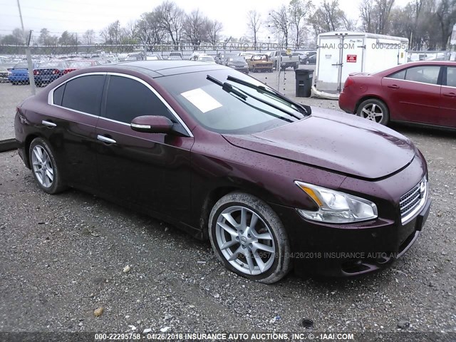 1N4AA5AP2AC874205 - 2010 NISSAN MAXIMA S/SV MAROON photo 1