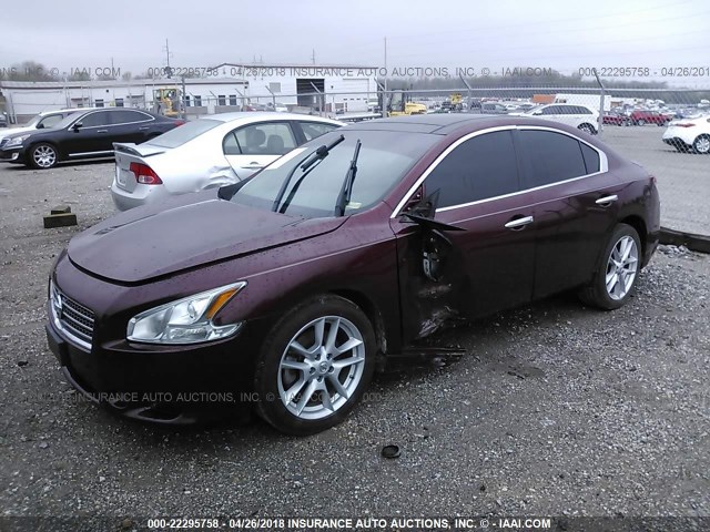 1N4AA5AP2AC874205 - 2010 NISSAN MAXIMA S/SV MAROON photo 2