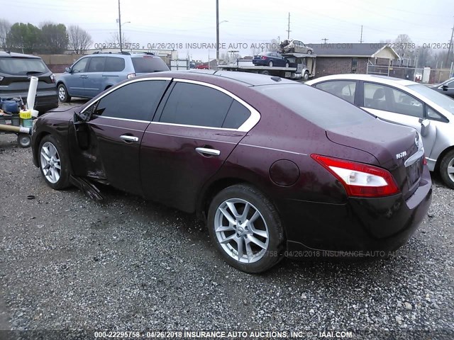 1N4AA5AP2AC874205 - 2010 NISSAN MAXIMA S/SV MAROON photo 3