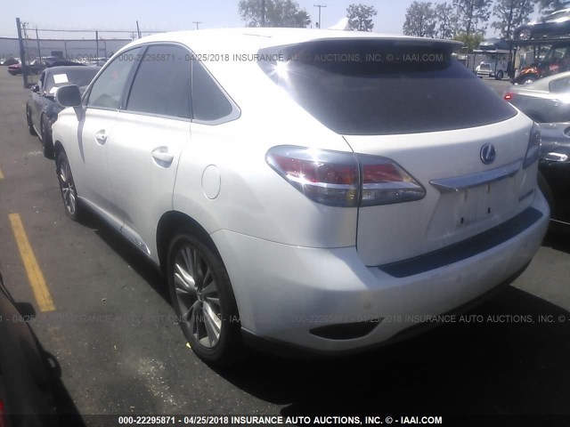 JTJZB1BA5D2008728 - 2013 LEXUS RX 450 WHITE photo 3