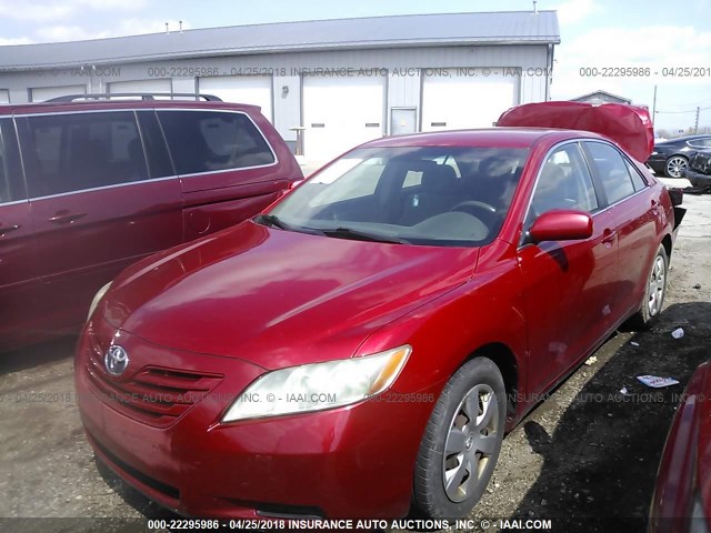 4T4BE46K39R066415 - 2009 TOYOTA CAMRY SE/LE/XLE RED photo 2