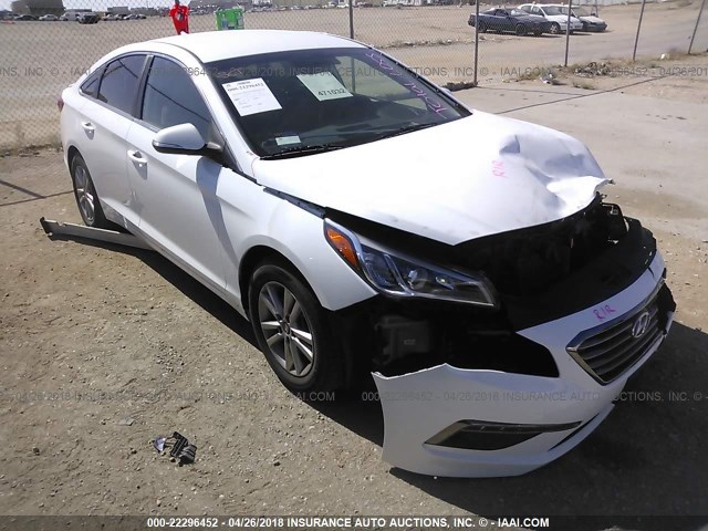 5NPE24AA8FH134510 - 2015 HYUNDAI SONATA ECO WHITE photo 1