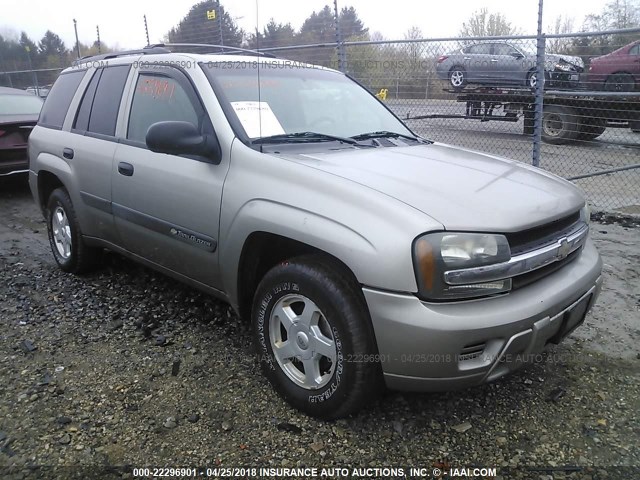 1GNDT13S332323227 - 2003 CHEVROLET TRAILBLAZER  TAN photo 1