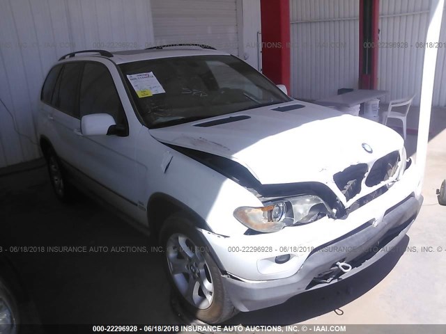 5UXFA13516LY42274 - 2006 BMW X5 3.0I WHITE photo 1