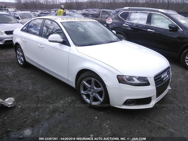 WAULF78K19N031958 - 2009 AUDI A4 2.0T QUATTRO WHITE photo 1