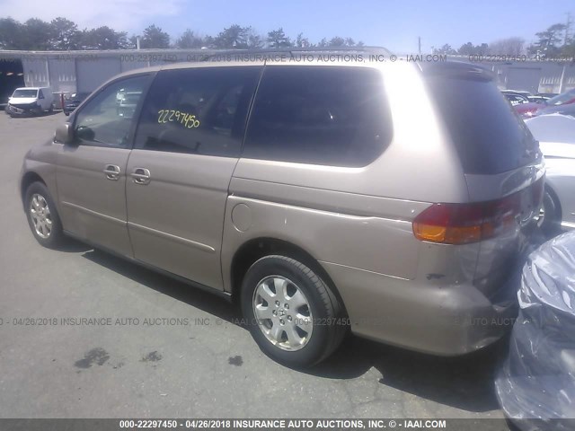 5FNRL18093B014199 - 2003 HONDA ODYSSEY EXL ოქროსფერი ფოტო 3