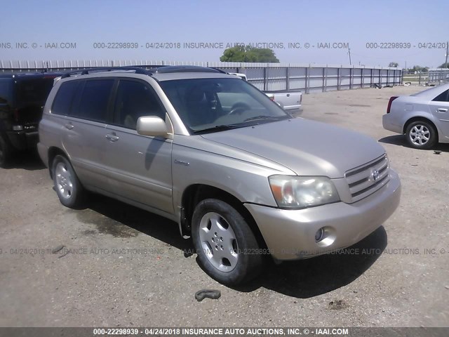 JTEDP21A350086214 - 2005 TOYOTA HIGHLANDER LIMITED GOLD photo 1