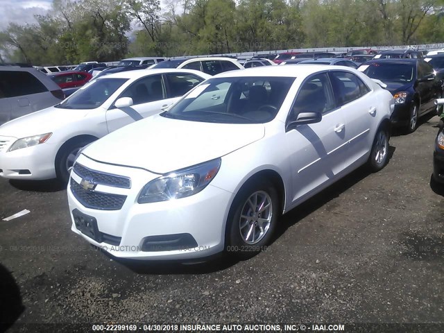 1G11A5SA8DF248707 - 2013 CHEVROLET MALIBU LS 白色 照片 2