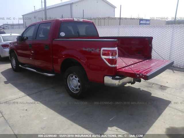 1FTEW1E82AFA48980 - 2010 FORD F150 SUPERCREW RED photo 3