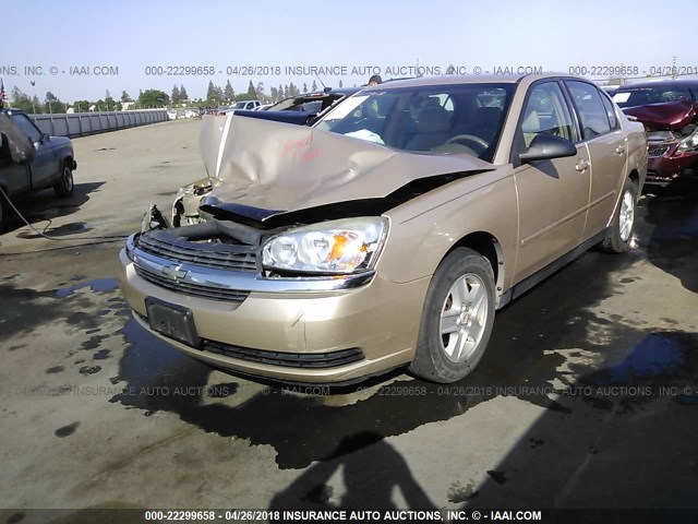 1G1ZT52835F271677 - 2005 CHEVROLET MALIBU LS 米色 照片 2
