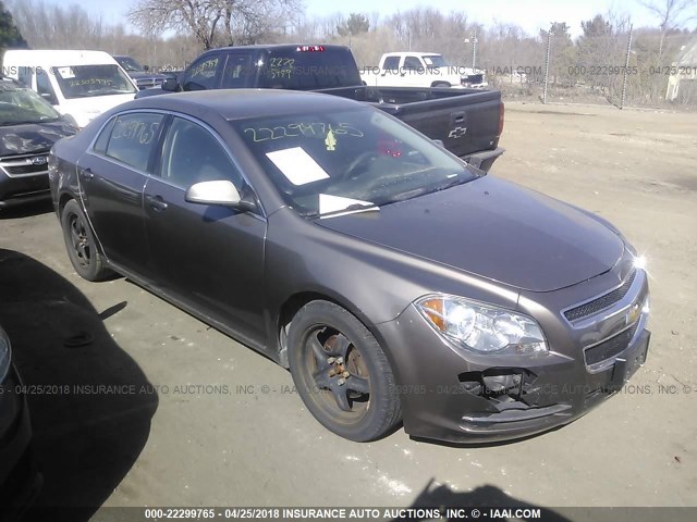 1G1ZC5EB6AF245379 - 2010 CHEVROLET MALIBU 1LT 棕色 照片 1