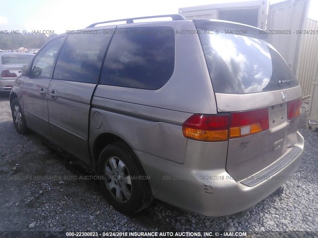 5FNRL18983B149513 - 2003 HONDA ODYSSEY EXL TAN photo 3